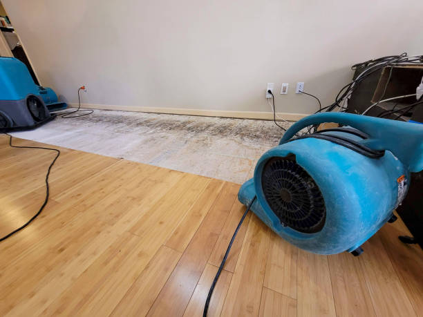 Professional Structural Drying technician working in Shalimar, FL